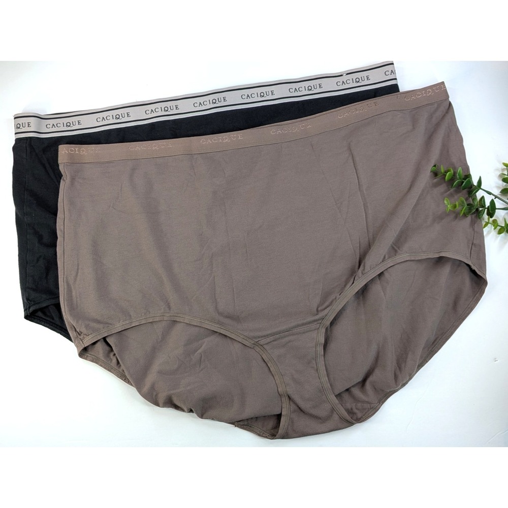 NWOT LOT 2😍Lane Bryant Cacique Sz 34/36 Underwear High Waist Full Brief Panties